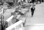 网红矮墩,独特魅力，网络红人的新宠儿